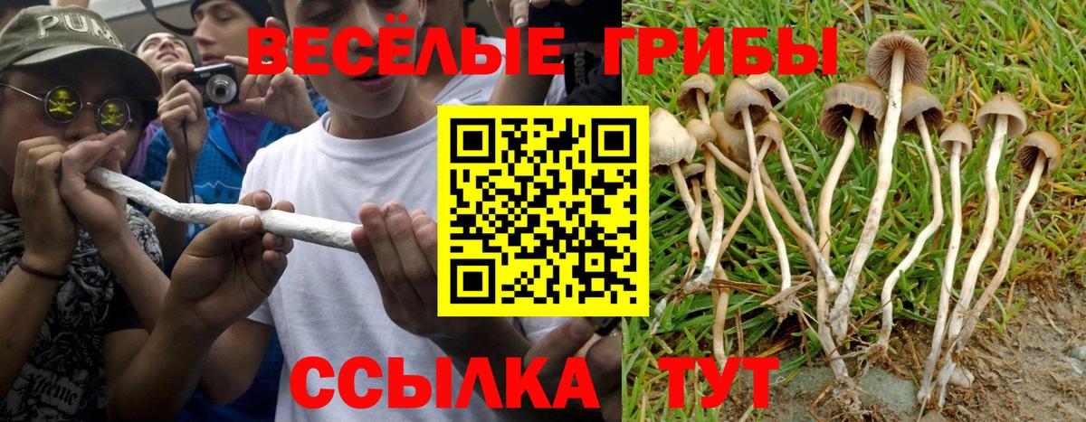 Псилоцибиновые грибы Psilocybe  Галлюциногенные грибы Magic Shrooms  Холмск  Вход с VPN 